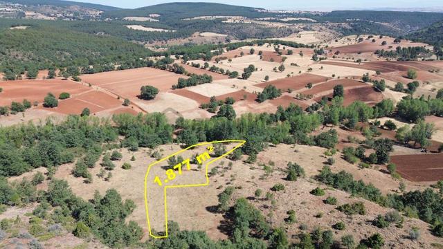 Konya / Doğanhisar / Kemer Mahallesinde 1.877 M² Hisse Tapulu Tarla 1
