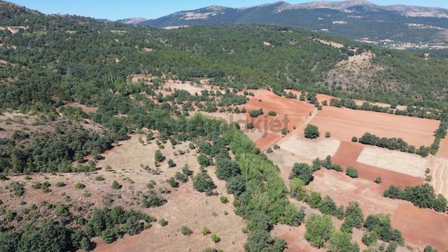 Konya / Doğanhisar / Kemer Mahallesinde 1.877 M² Hisse Tapulu Tarla 3