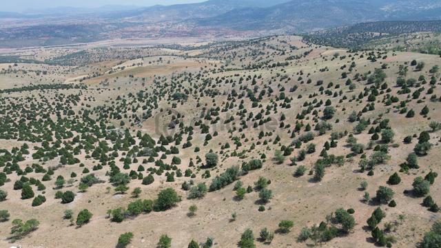 Konya / Akören / Alan Mahallesinde 7.491 M² Müstakil Tapulu Tarla 2