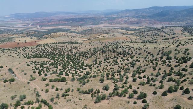 Konya / Akören / Alan Mahallesinde 7.491 M² Müstakil Tapulu Tarla 4