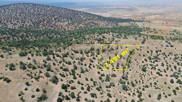 Konya / Akören / Alan Mahallesinde 7.491 M² Müstakil Tapulu Tarla 5