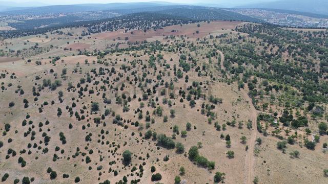 Konya / Akören / Alan Mahallesinde 7.491 M² Müstakil Tapulu Tarla 3