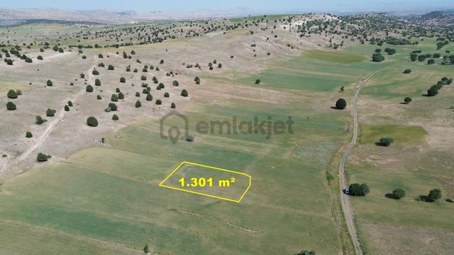 Konya / Meram / Kilistra Mahallesinde 1.301 M² Müstakil Tapulu Tarla 3