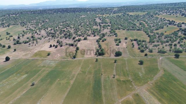 Konya / Meram / Kilistra Mahallesinde 1.301 M² Müstakil Tapulu Tarla 2