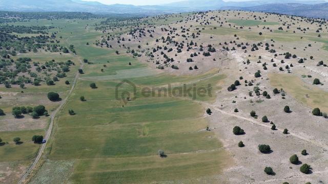 Konya / Meram / Kilistra Mahallesinde 1.301 M² Müstakil Tapulu Tarla 5
