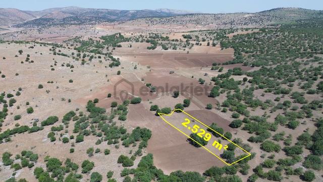 Konya / Meram / Kilistra Mahallesinde 2.529 M² Müstakil Tapulu Tarla 5