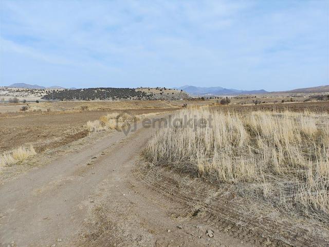 Özpınar ,dan Çavuş Köyüne 1km. Suyu Ve Yolu Olan Bahçe 1750 M2 3