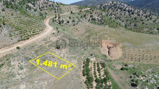 Konya / Hadim / Dülgerler Mahallesinde 1.481 M² Müstakil Tapulu Tarla 2