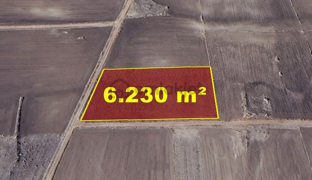 Konya / Akören / Orhaniye Mahallesinde 6.230 M² Müstakil Tapulu Tarla 3
