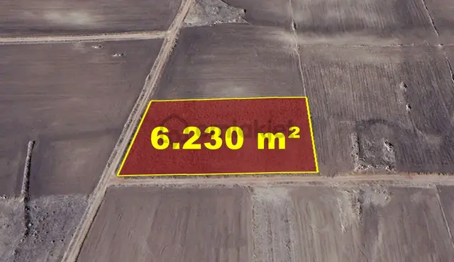 Konya / Akören / Orhaniye Mahallesinde 6.230 M² Müstakil Tapulu Tarla 2