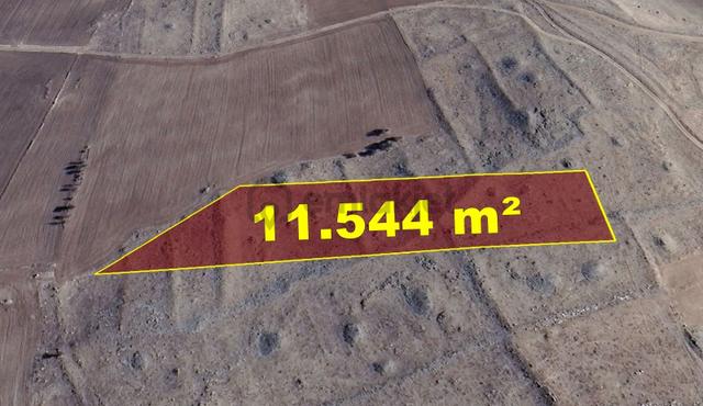 Konya / Akören / Orhaniye Mahallesinde 11.544 M² Müstakil Tapulu Tarla 1
