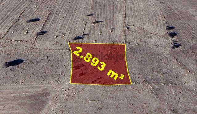 Konya / Akören / Tülce Mahallesinde 2.893 M² Müstakil Tapulu Tarla 4