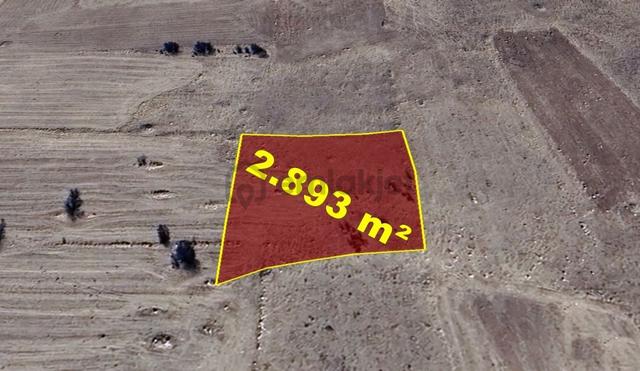 Konya / Akören / Tülce Mahallesinde 2.893 M² Müstakil Tapulu Tarla 1