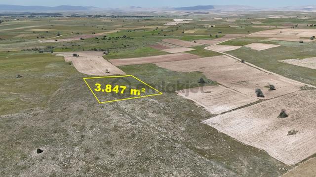 Konya / Akören / Tülce Mahallesinde 3.847 M² Müstakil Tapulu Tarla 2