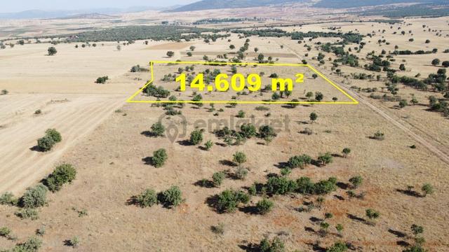 Konya / Akören / Ağalar Mahallesinde 14.609 M² Müstakil Tapulu Tarla 3