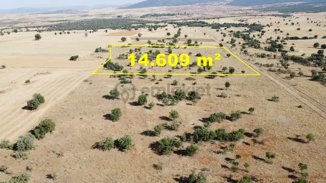 Konya / Akören / Ağalar Mahallesinde 14.609 M² Müstakil Tapulu Tarla 2