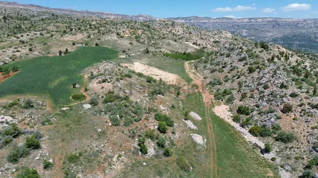 Karaman / Başyayla / Üzümlü Mahallesinde 2.456 M² Müstakil Tapulu Tarla 4