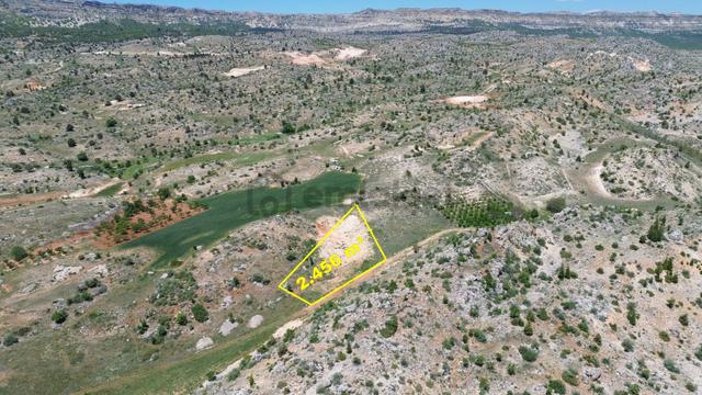 Karaman / Başyayla / Üzümlü Mahallesinde 2.456 M² Müstakil Tapulu Tarla 5