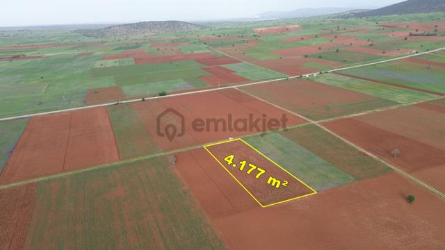 Konya / Akören / Karahüyük Mahallesinde 4.177 M² Müstakil Tapulu Tarla 2
