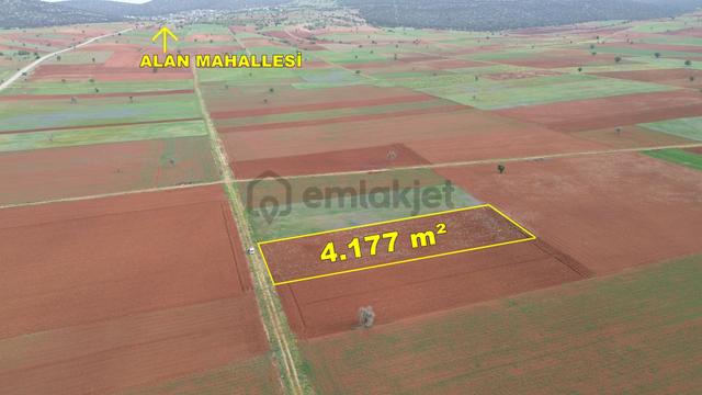Konya / Akören / Karahüyük Mahallesinde 4.177 M² Müstakil Tapulu Tarla 3