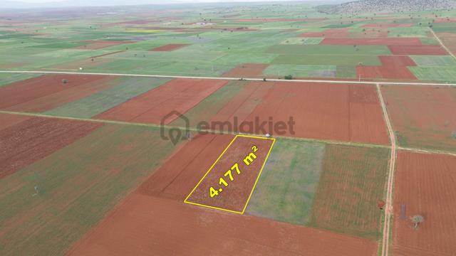 Konya / Akören / Karahüyük Mahallesinde 4.177 M² Müstakil Tapulu Tarla 4