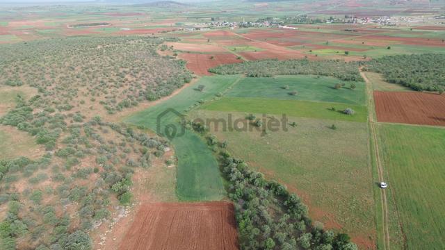 Konya / Akören / Karahüyük Mahallesinde 2.194 M² Müstakil Tapulu Tarla 5