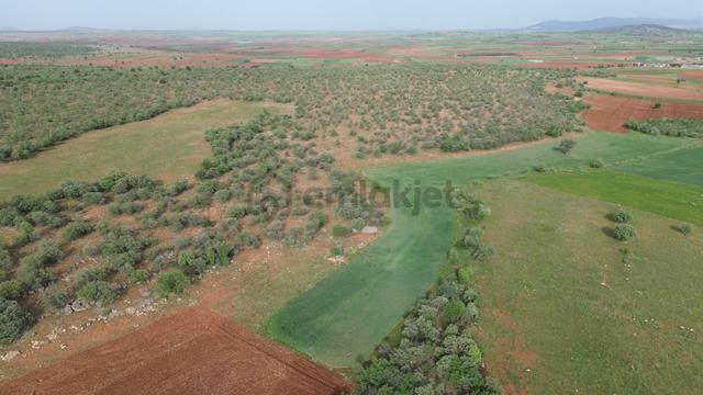 Konya / Akören / Karahüyük Mahallesinde 2.194 M² Müstakil Tapulu Tarla 3