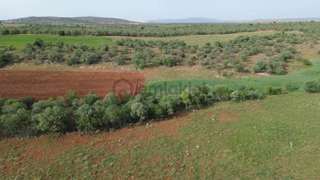 Konya / Akören / Karahüyük Mahallesinde 2.194 M² Müstakil Tapulu Tarla 2