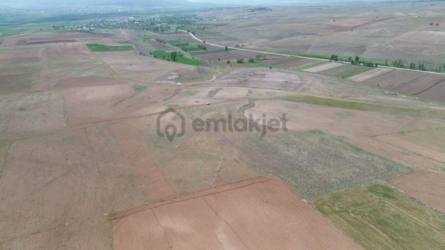 Konya / Akören / Orhaniye 14.903 M² Müstakil Tapulu Tarla 3