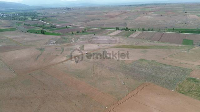 Konya / Akören / Orhaniye 14.903 M² Müstakil Tapulu Tarla 4