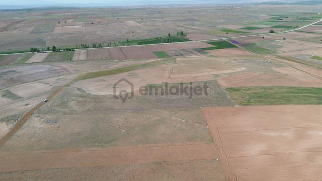 Konya / Akören / Orhaniye 14.903 M² Müstakil Tapulu Tarla 2
