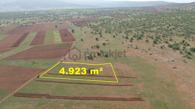 Konya / Akören / Hacılar Mahallesinde 4.923 M² Müstakil Tapulu Tarla 3