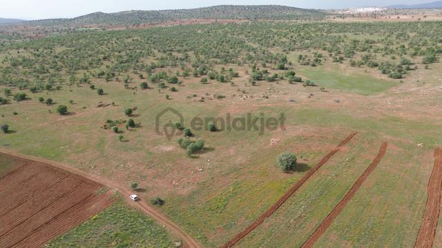Konya / Akören / Hacılar Mahallesinde 4.923 M² Müstakil Tapulu Tarla 4