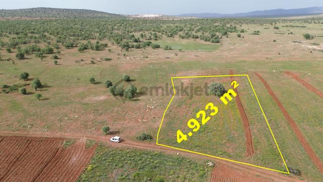Konya / Akören / Hacılar Mahallesinde 4.923 M² Müstakil Tapulu Tarla 5