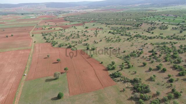 Konya / Akören / Hacılar Mahallesinde 3.723 M² Müstakil Tapulu Tarla 3