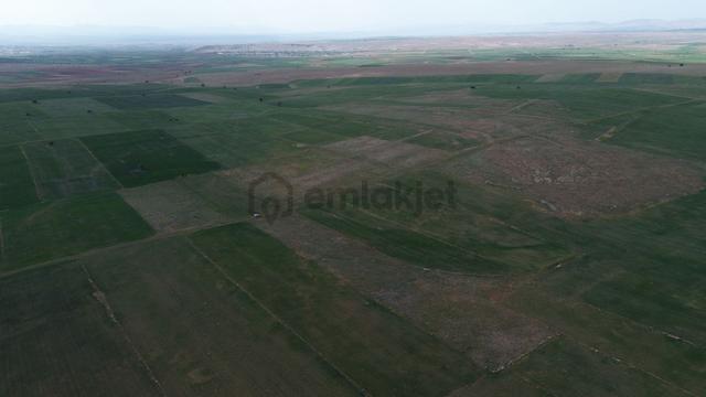 Konya / Akören / Orhaniye Mahallesinde 7.496 M² Müstakil Tapulu Tarla 3