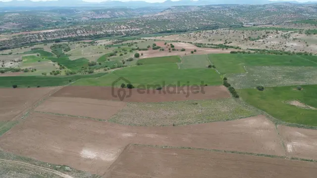 Konya / Meram / Güneydere Mahallesinde 3.400 M² Müstakil Tapulu Tarla 2