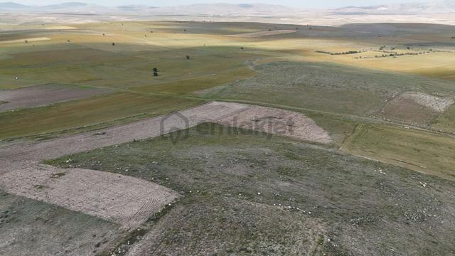 Konya / Akören / Orhaniye Mahallesinde 16.498 M² Müstakil Tapulu Tarla 4