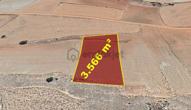 Karaman / Kazımkarabekir / Subaşı Mahallesinde 3.566 M² Müstakil Tapulu Tarla 2