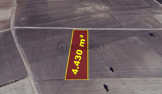 Konya / Akören / Orhaniye Mahallesinde 4.430 M² Müstakil Tapulu Tarla 5