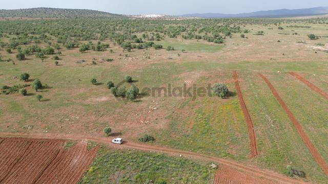 Konya / Akören / Hacılar Mahallesinde 3.612 M² Müstakil Tapulu Tarla 5