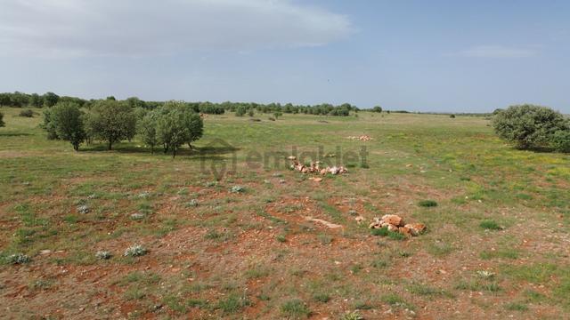 Konya / Akören / Hacılar Mahallesinde 3.612 M² Müstakil Tapulu Tarla 4