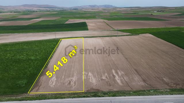 Konya / Meram / Hatunsaray Mahallesinde 5.418 M² Müstakil Tapulu Tarla 3