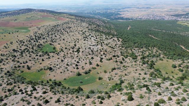 Konya / Ilgın / Mahmuthisar Mahallesinde 825 M² Müstakil Tapulu Tarla 4