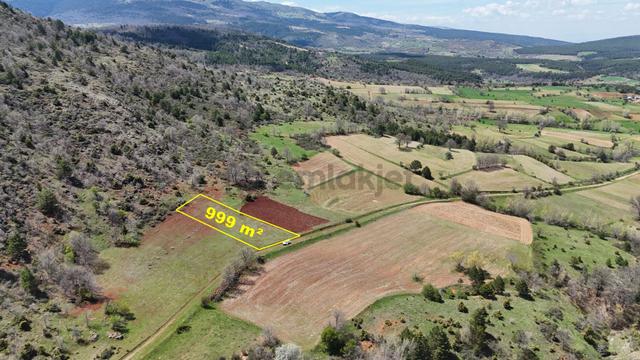 Konya / Doğanhisar / Kemer Mahallesinde 999 M² Müstakil Tapulu Tarla 2