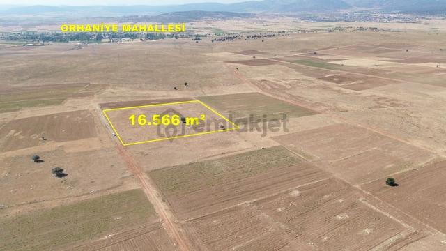 Konya / Akören / Orhaniye Mahallesinde 16.566 M² Müstakil Tapulu Tarla 1