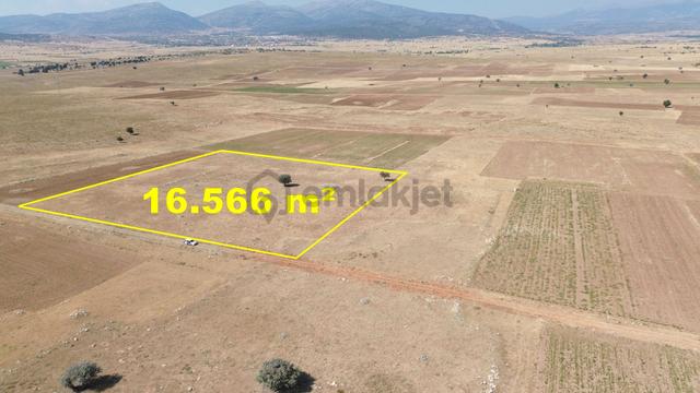 Konya / Akören / Orhaniye Mahallesinde 16.566 M² Müstakil Tapulu Tarla 5