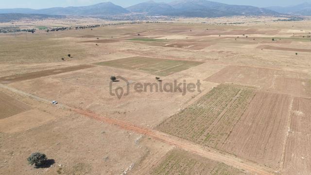 Konya / Akören / Orhaniye Mahallesinde 16.566 M² Müstakil Tapulu Tarla 3