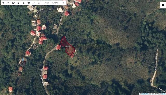 Giresun Görele Kuşçuluda Deniz Manzaralı Satılık Fındık Bahçesi 5