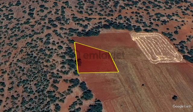 Konya / Güneysınır / Kızılöz Mahallesinde 1.750 M² Müstakil Tapulu Tarla 4